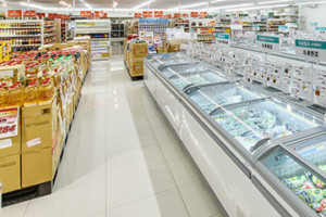 プロマーケット冷凍コーナー